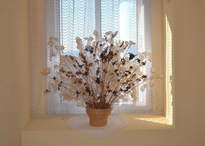 Bocanegra Canicosa de la Sierra